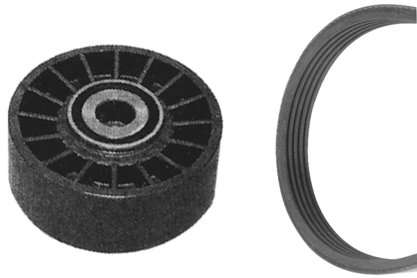 Bosch Poly V-riemen kit 1 987 948 699