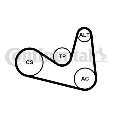 Contitech Poly V-riemen kit 6PK1180D1