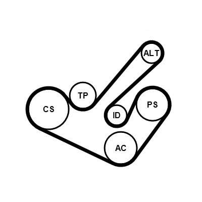 Contitech Poly V-riem set 6PK1555K9