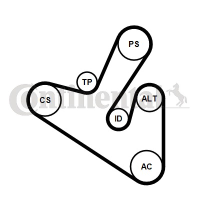 Contitech Poly V-riemen kit 6PK1710K1