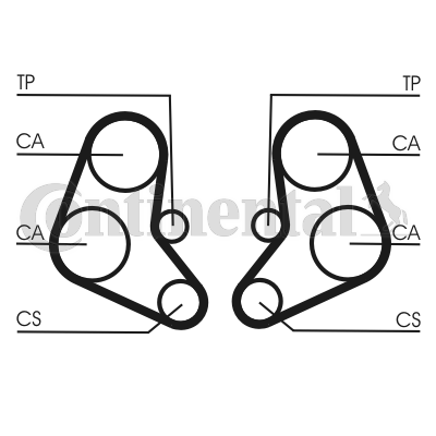Contitech Distributieriem CT886
