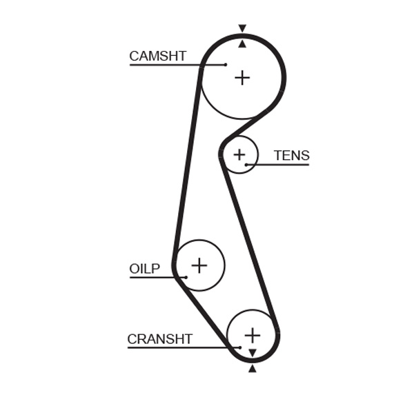 Gates Distributieriem 5090