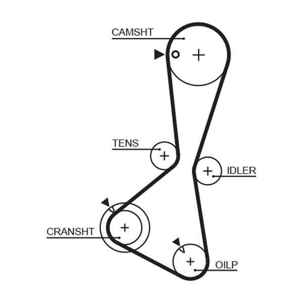 Gates Distributieriem 5374XS