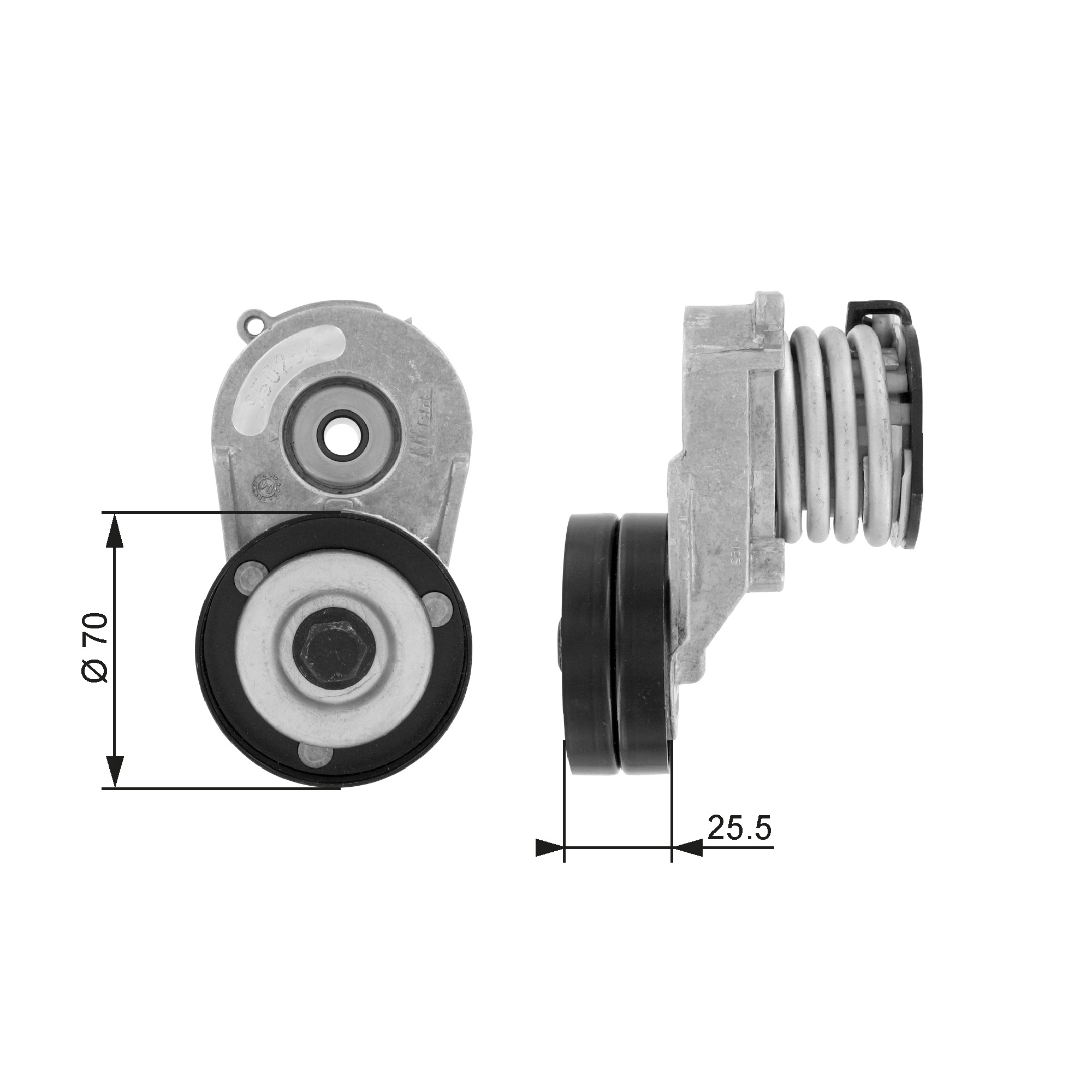 Gates Spanner poly V-riem T38432