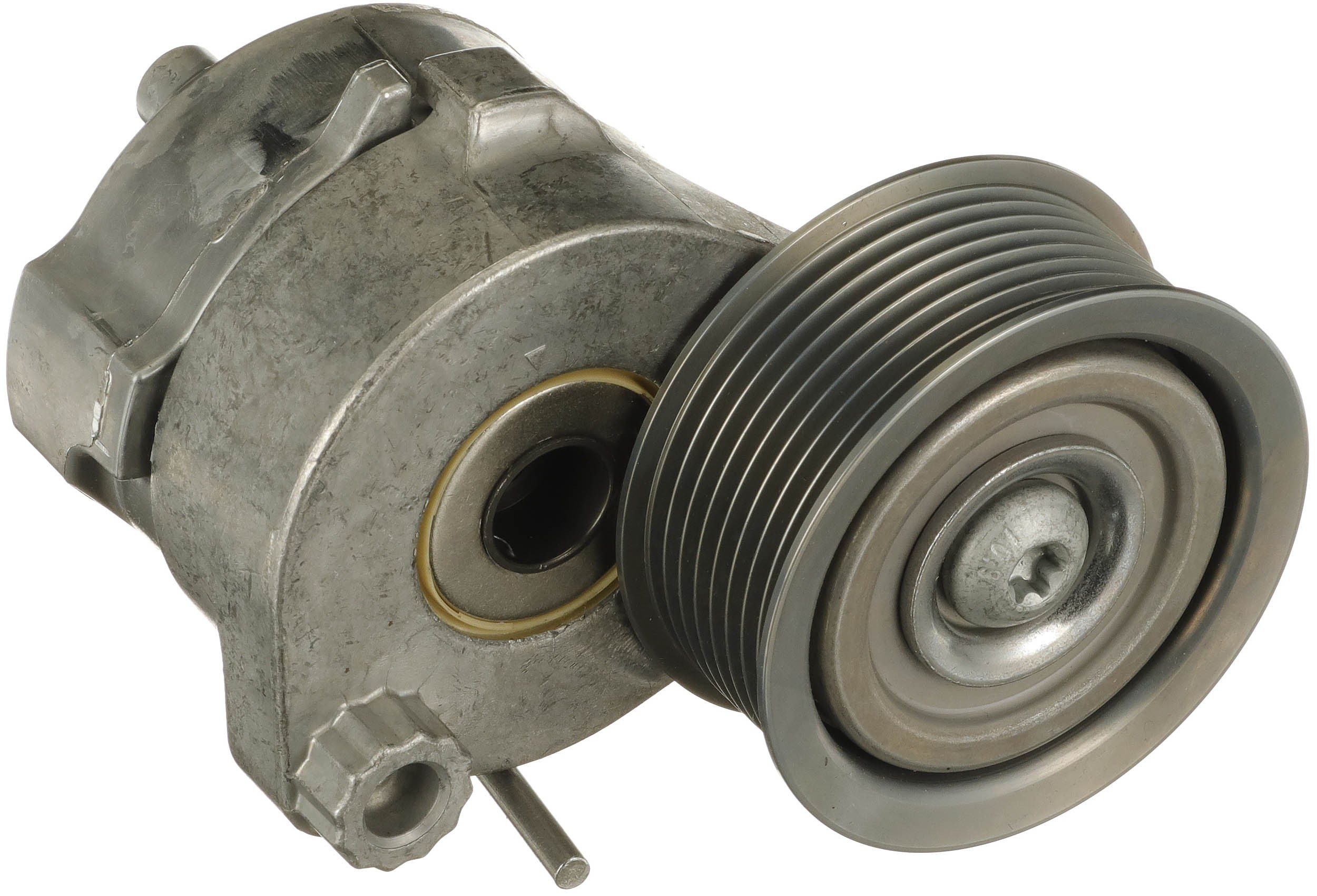 Gates Spanner poly V-riem T38663