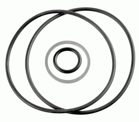 Lemförder Pakkingset 13607 01