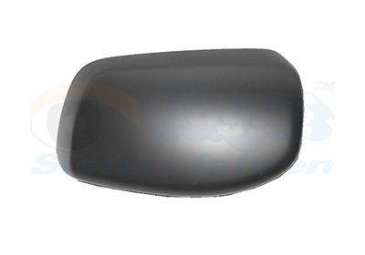 Van Wezel Buitenspiegelkap 0655844