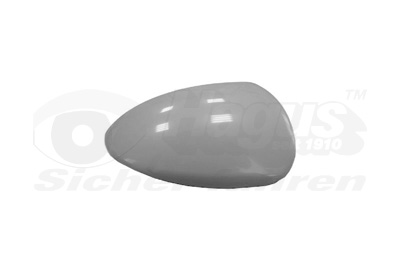 Van Wezel Buitenspiegelkap 0820844