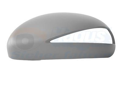 Van Wezel Afdekking, buitenspiegel 2580843