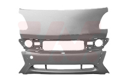 Van Wezel Bumper 2910572