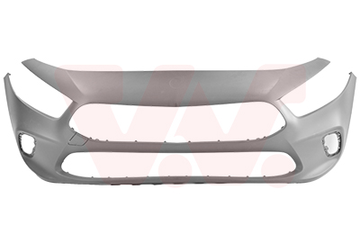 Van Wezel Bumper 2946574