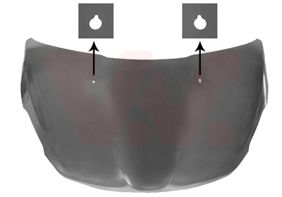 Van Wezel Motorkap 4034660