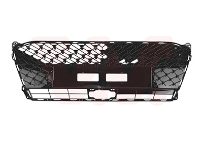Van Wezel Radiateurgrille 5418510