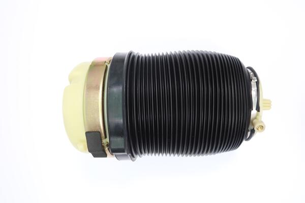 Monroe Luchtvering, chassis ASP035