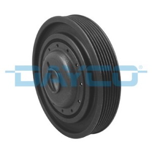 Dayco Krukaspoelie DPV1065