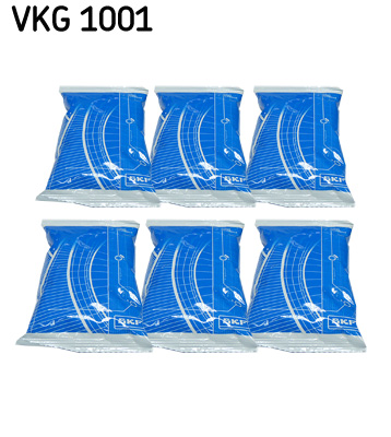 SKF Vet VKG 1001