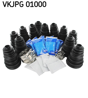 SKF Asmanchet VKJPG 01000