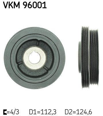 SKF Krukaspoelie VKM 96001