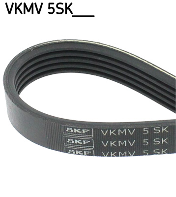 SKF Poly V-riem VKMV 5SK748