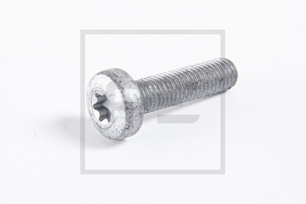 Pe Automotive Schroef 010.863-10A