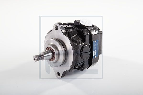 Pe Automotive Servo pomp 122.507-00A
