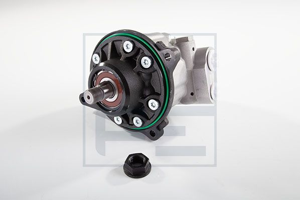 Pe Automotive Servo pomp 142.517-00A