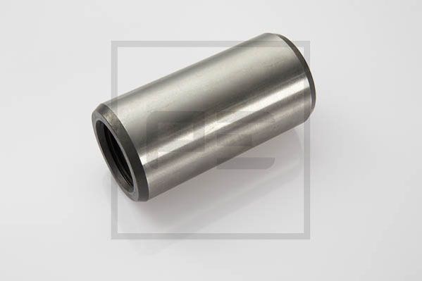 Pe Automotive Bladveerlagerbus 144.081-00A