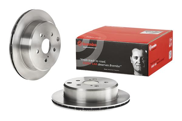 Brembo Remschijven 09.6915.10