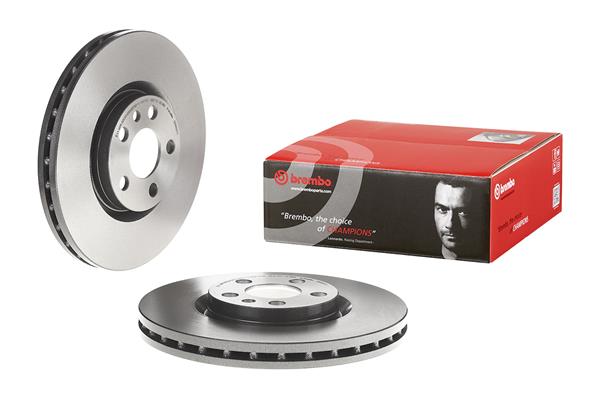 Brembo Remschijven 09.8003.11