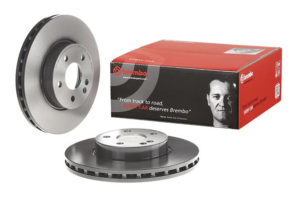 Brembo Remschijven 09.8404.11