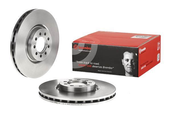Brembo Remschijven 09.9760.10