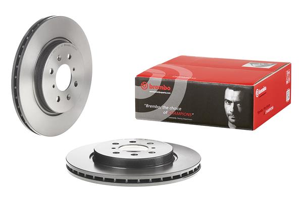 Brembo Remschijven 09.D252.11