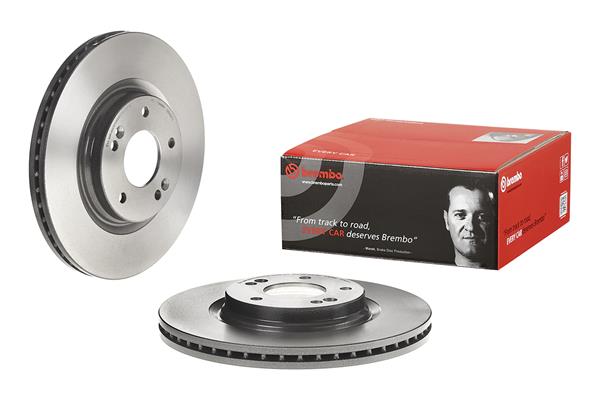 Brembo Remschijven 09.D428.11