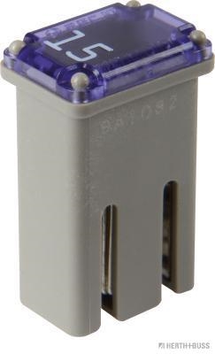 Herth+Buss Elparts Zekering 50295352