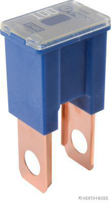 Herth+Buss Elparts Zekering 50295449