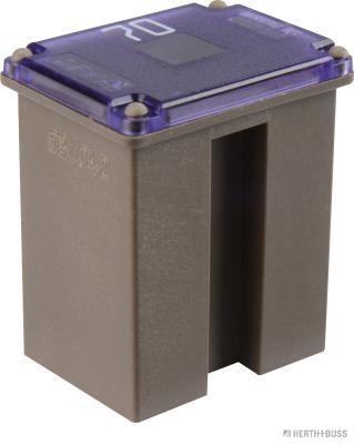 Herth+Buss Elparts Zekering 50295487