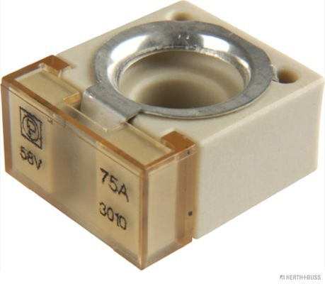 Herth+Buss Elparts Zekering 50295881