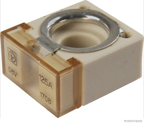 Herth+Buss Elparts Zekering 50295883