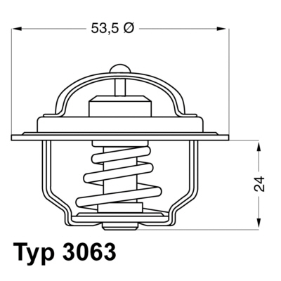 Wahler Thermostaat 3063.75