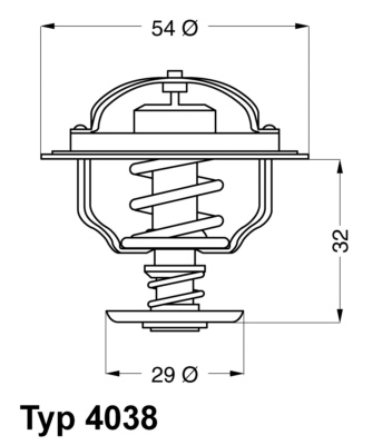 Wahler Thermostaat 4038.81D