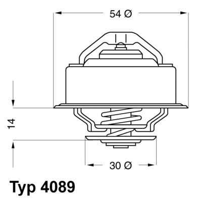 Wahler Thermostaat 4089.87D