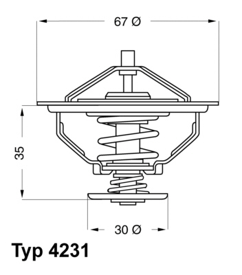 Wahler Thermostaat 4231.80D