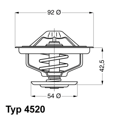 Wahler Thermostaat 4520.80D