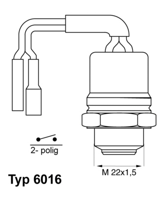 Wahler Temperatuurschakelaar 6016.92