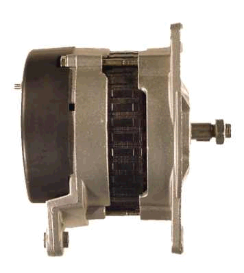 Friesen Alternator/Dynamo 9066384
