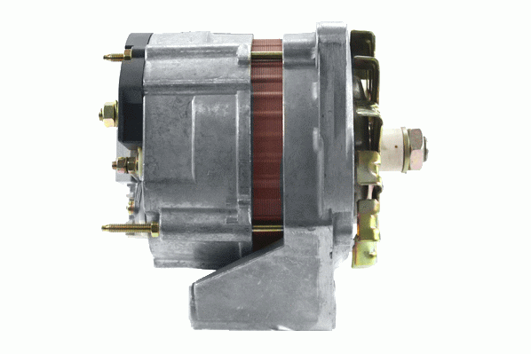 Friesen Alternator/Dynamo 9930520