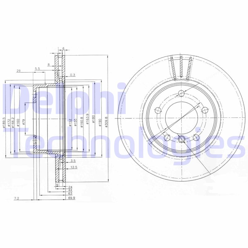 Delphi Diesel Remschijven BG3870