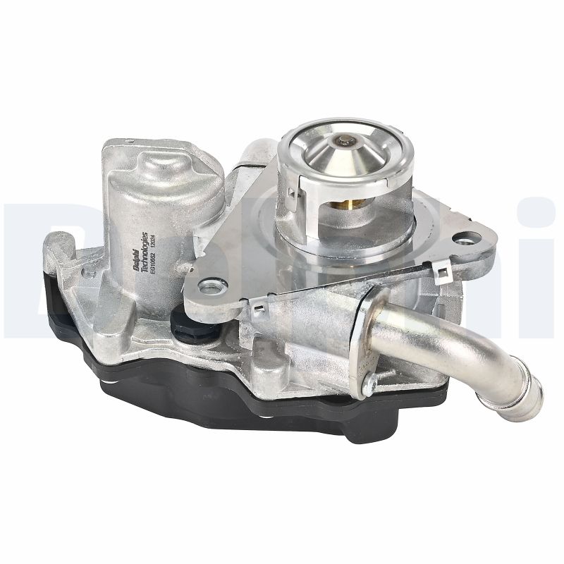 Delphi Diesel EGR-klep EG10552-12B1