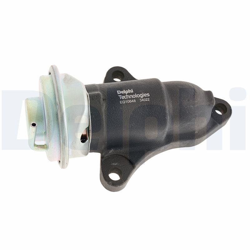 Delphi Diesel EGR-klep EG10648-12B1