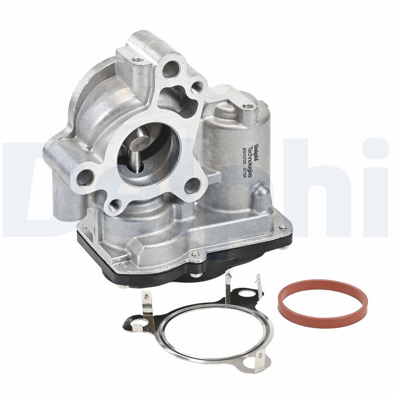 Delphi Diesel EGR-klep EG10729-12B1